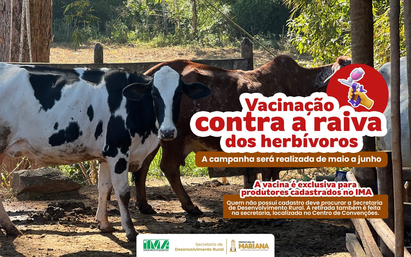 Vacina gratuita contra a raiva dos herbívoros já está disponível em Mariana