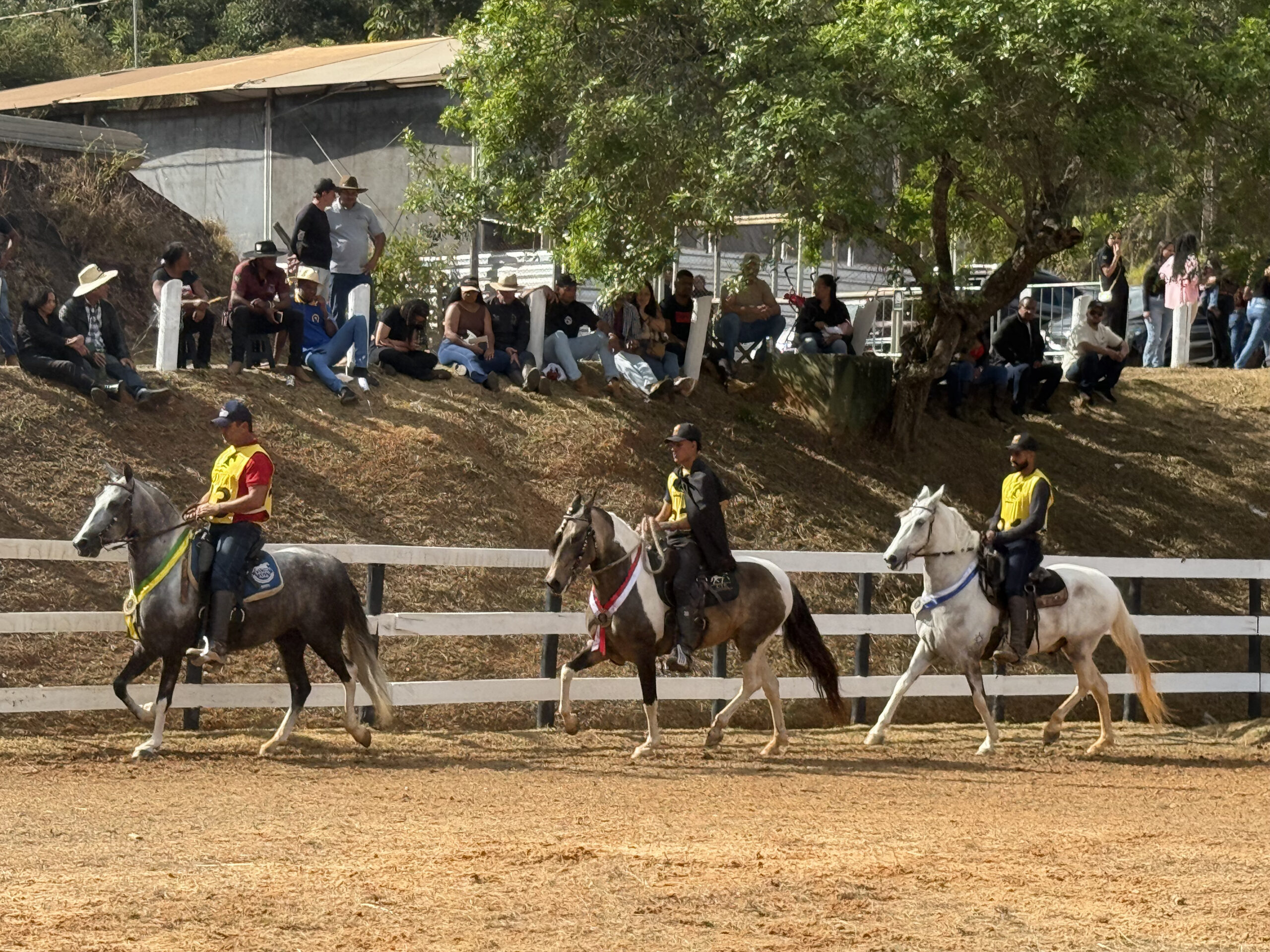 6ª Semana do Cavalo Mangalarga Marchador movimenta Mariana com Copa de Marcha, Poeirão e shows na Mina Del Rey