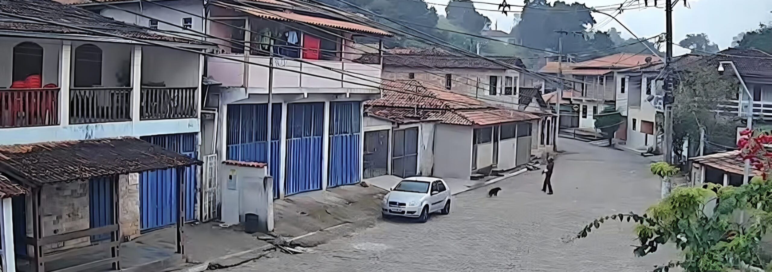 Autoridades de Mariana investiga caso de maus-tratos a cachorro em Cachoeira do Brumado