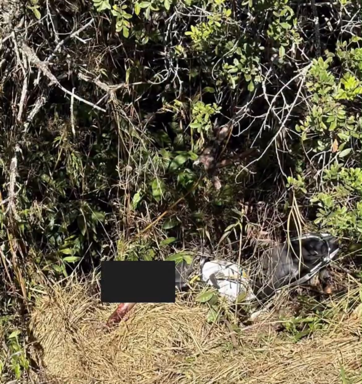 Homem é encontrado morto em distrito de Mariana