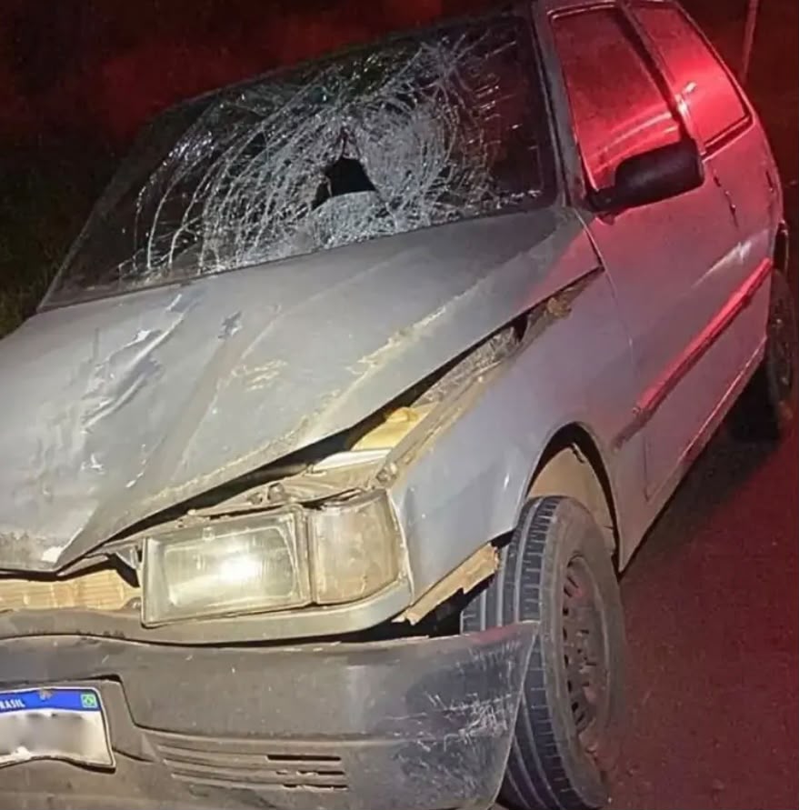 Atropelamento em Coelhos termina com morte de morador e marca mais um fim de semana de acidentes na BR 356