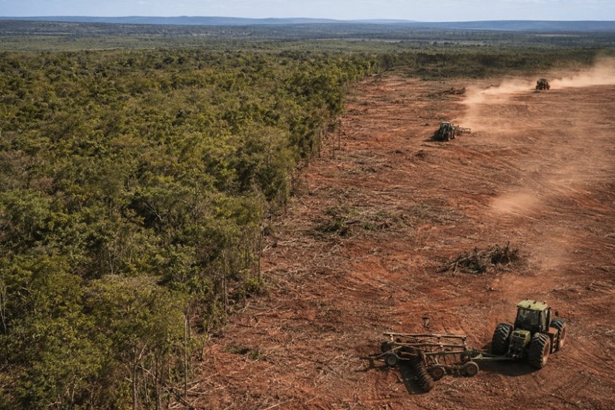 Operação investiga desmatamento do Norte