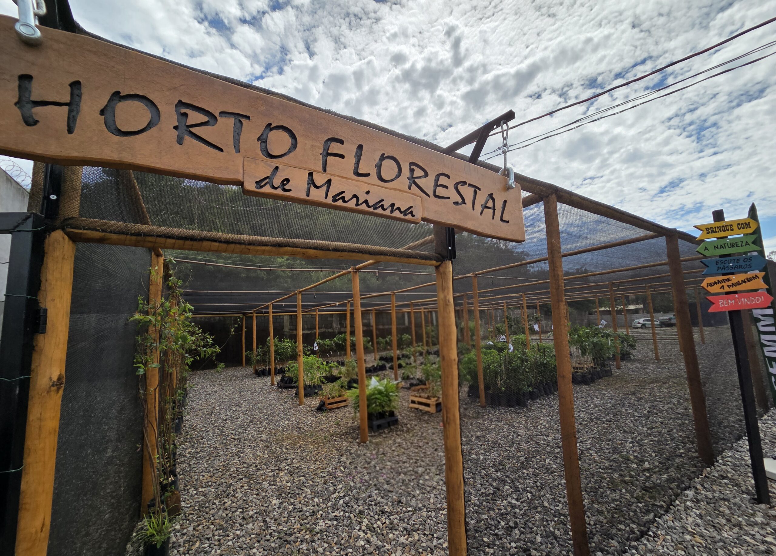 Mariana inaugura Viveiro Municipal Horto Florestal com foco em preservação ambiental