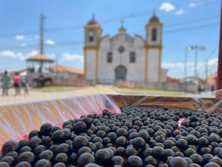 Cachoeira do Campo se prepara para a Festa da Jabuticaba em novembro