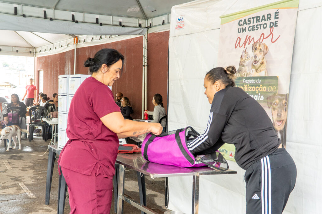 Controle animal: Itabirito recebe castração gratuita de mais de 80 cães e gatos